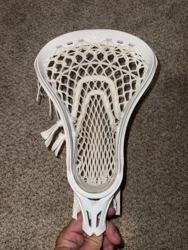 Rare Mikey Powell Brine Voyce