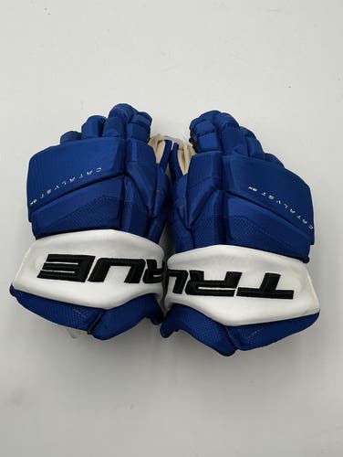 New Tampa Bay Lightning True 14" Pro Stock Catalyst 9X Pro Gloves