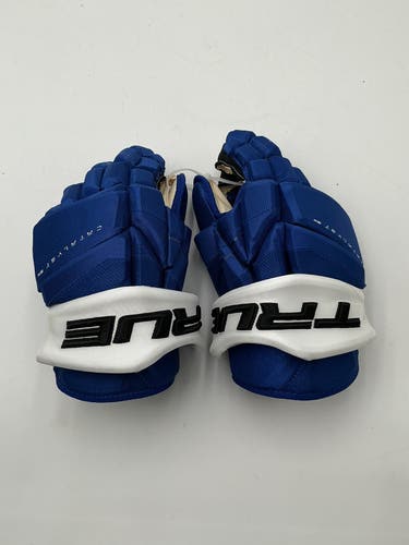 New Tampa Bay Lightning True 14" Pro Stock Catalyst 9X Pro Gloves
