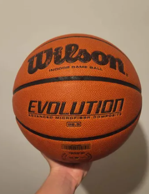 Wilson Basketball (Used)