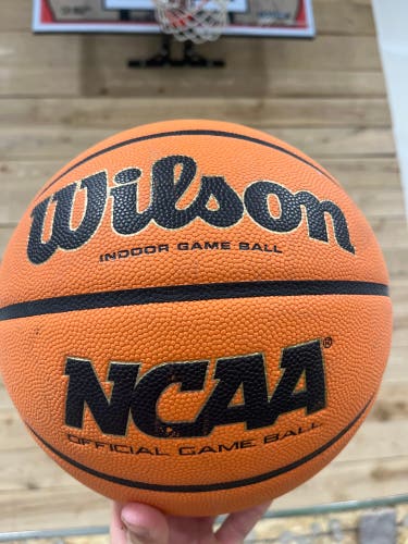 Men's Wilson Basketball (Used)