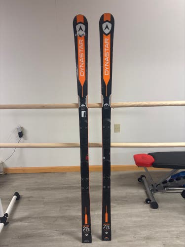 Dynastar Speed WC FIS GS 175 cm Racing Skis Without Bindings (Used)