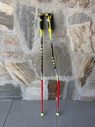 Leki World Cup GS Ski Poles 110cm