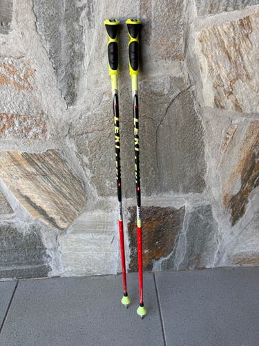 40in (100cm) Leki World Cup - GS Ski Poles