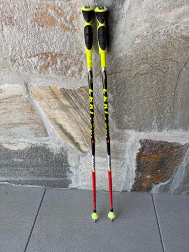 36in (90cm) Leki World Cup - GS Ski Poles