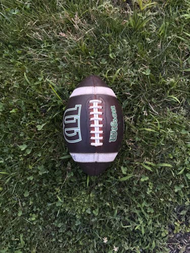Adult Wilson Football (Used)