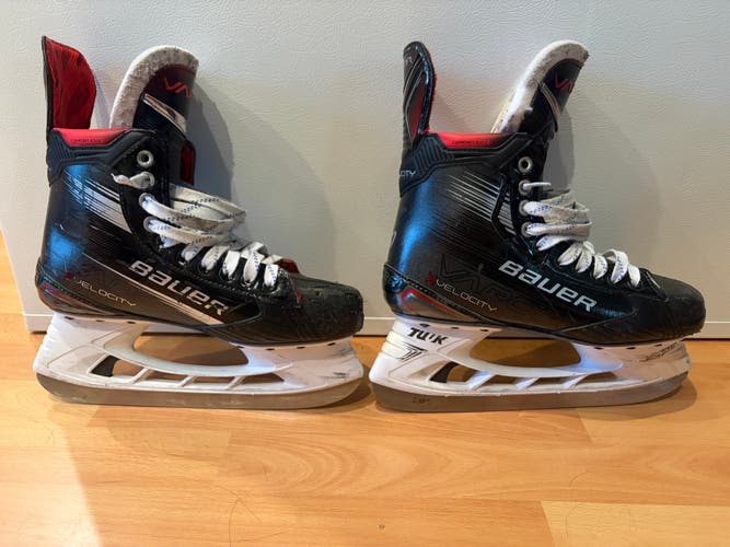 Bauer Vapor X Velocity Senior Hockey Skates Size 8 Fit 1