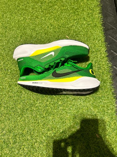 College issued Oregon ducks shoes