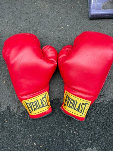 Everlast (Used)