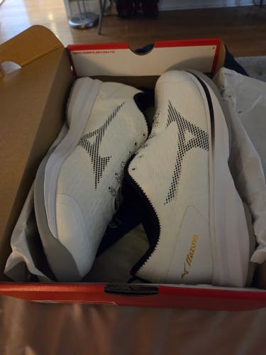Men's (New) Mizuno turf shoes