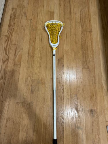 Adult Gait Apex 2 Stick (Used)