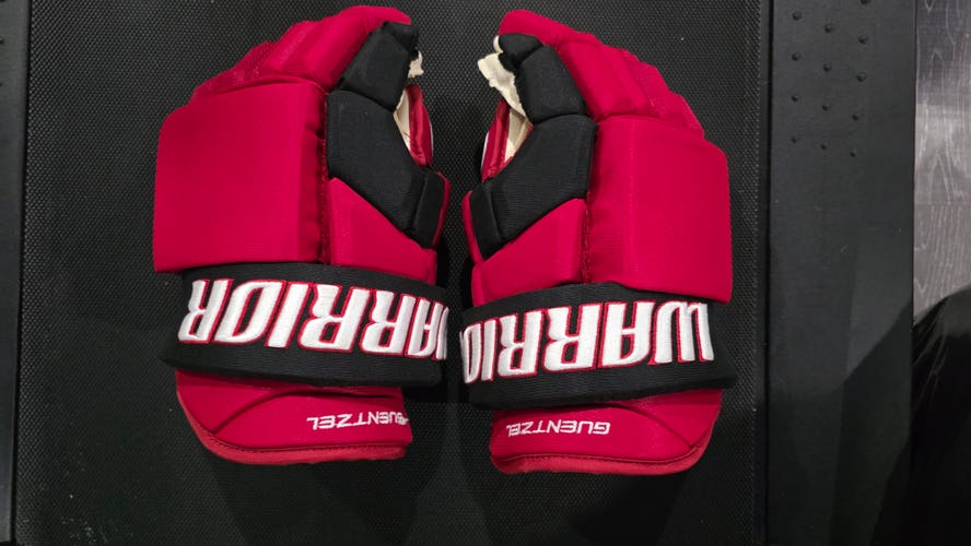 Warrior Alpha FR Pro Gloves 13" Pro Stock (New)