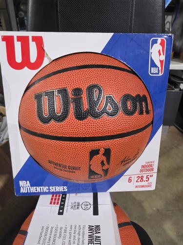 Wilson Basketball (New)