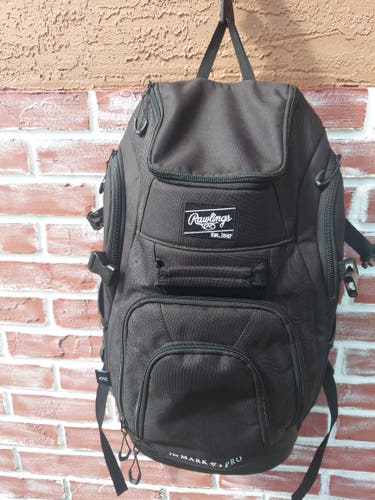 Rawlings Franchise 2 player bag (barely used)