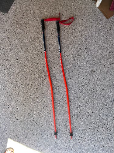 52in (130cm) Swix GS Racing Ski Poles (New)
