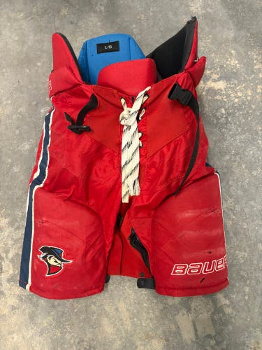Senior Large Bauer Nexus Hockey Pants (Used)
