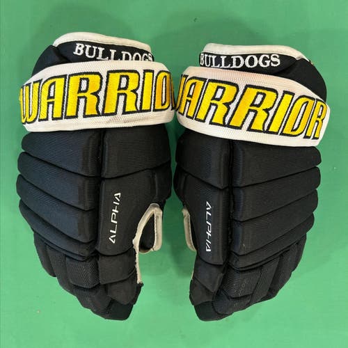13” Senior Warrior Alpha Gloves | “Adrian College Bulldogs”