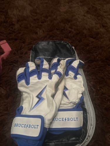 Large Batting Gloves (Used)