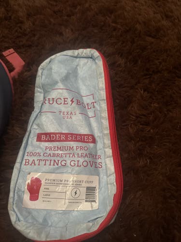 Large Bader Batting Gloves (Used)