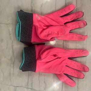 Large Air Jordan Batting Gloves (New)