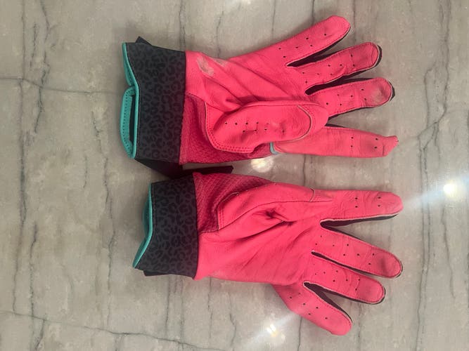 Large Air Jordan Batting Gloves (New)