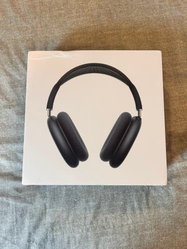 Apple Headphones (New)