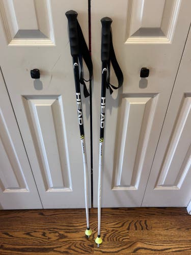 HEAD SG 110cm Ski Poles (Used)
