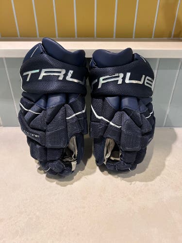 True Catalyst 9X5 Gloves 13" (Used)