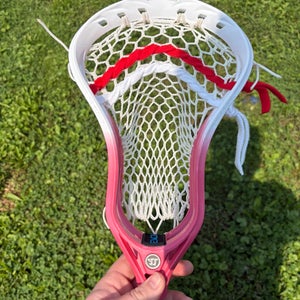 Custom dyed and strung Warrior Evo QX-O Head (New)