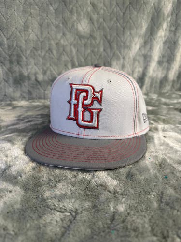 Gray Adult Unisex Fanatics Hat (Used)