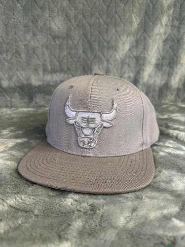 Gray Adult Unisex Mitchell & Ness Hat (Used)