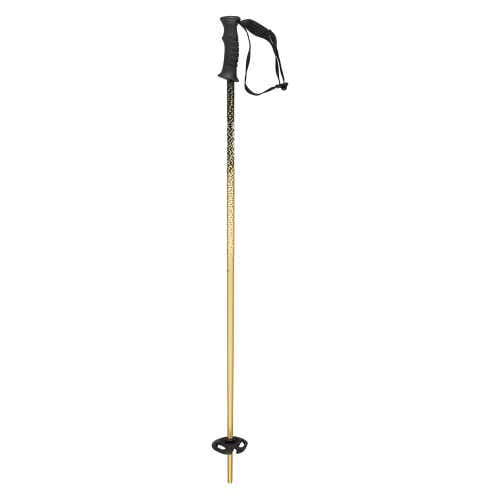 Head KORE Team Ski Poles