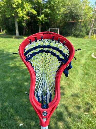 Warrior Evo QX-O Fresh Stringing Head (Used)