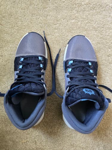 NIKE Lebron Witness 8 Basketball Shoes (FB2239-400) Size Men's 12 - EUC