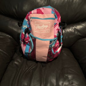 Rawlings Bat Pack (Used)