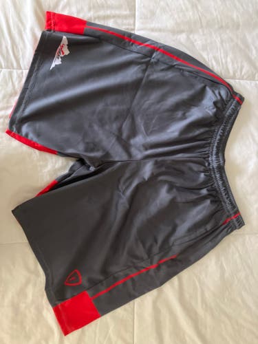 Gray Large Men's Adrenaline Shorts (Used)