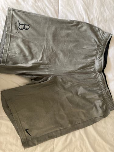 Gray XL Men's Nike Shorts (Used)