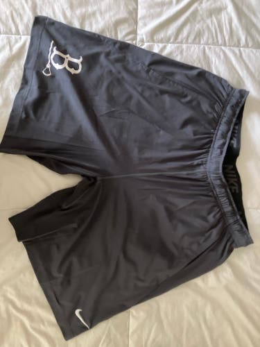 Gray XL Men's Nike Shorts (Used)