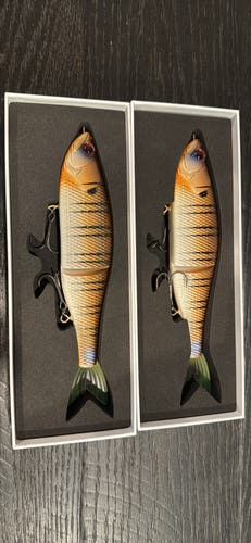 6th Sense The Draw 9" Glide and Trace Swimbait Lures - Cajun Gill