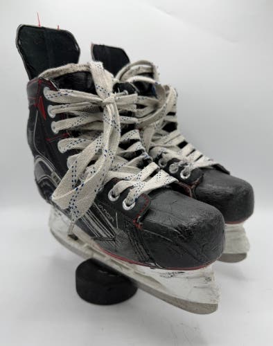 Senior Sz 5 Bauer Vapor X500 Hockey Skates