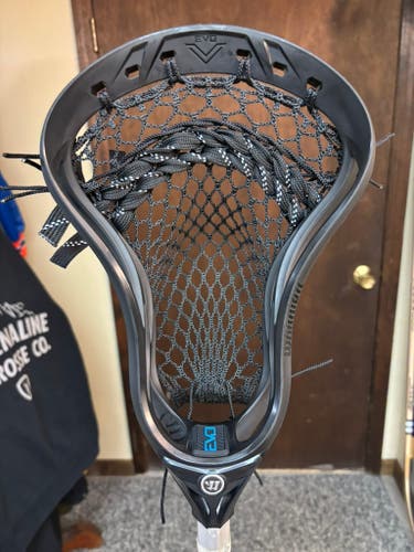 Warrior Evo V (New) strung w/ Stringking 5s mesh