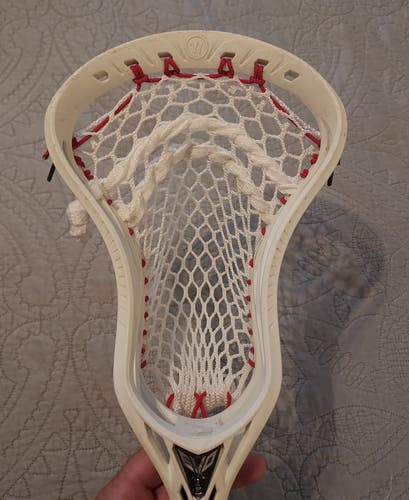 Warrior Fresh Stringing Evo 5 Head (Used)