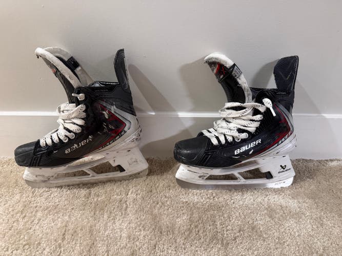 Bauer Fly40 skates