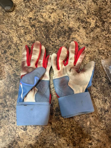 Large Batting Gloves (Used)