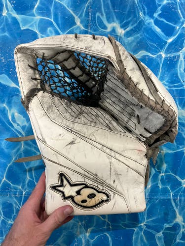 Senior Brian's Eclipse Goalie Gloves & Blockers Regular (Used)