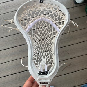 Gait Mustang Head (New)