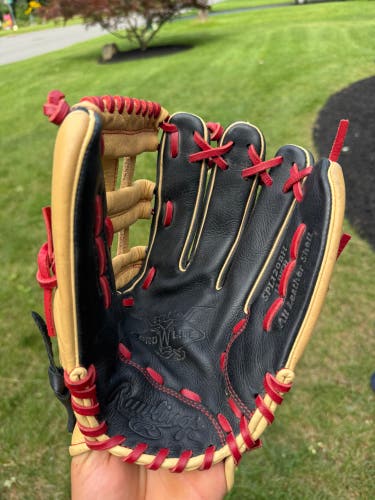 Rawlings pro select lite 12"