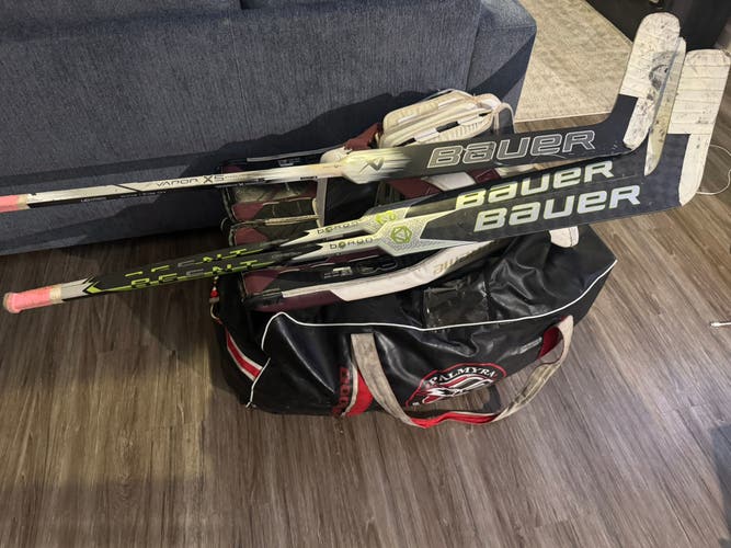 ENTIRE PRO LEVEL GOALIE SETUP FULL BAG