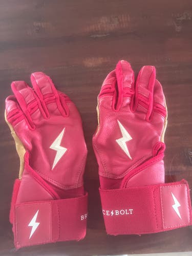 Batting Gloves (Used)