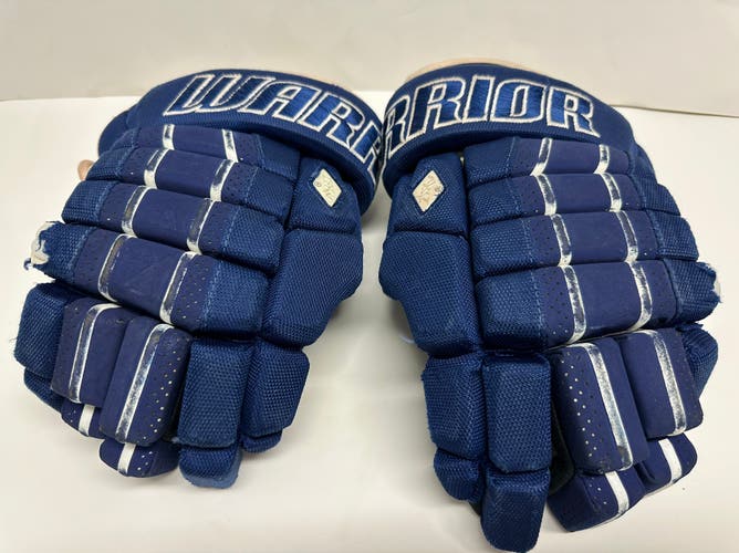 Warrior Dynasty AXLT Gloves 13" (Used)